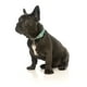 thumbnail image 2 of Collar Fuzzyard para perros SUMMER PUNCH L (50-65 cm), 2 of 2