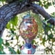 thumbnail image 5 of Comedero Para Colibríes, Vidrio Soplado Exteriores,1065 Ml, 5 of 6