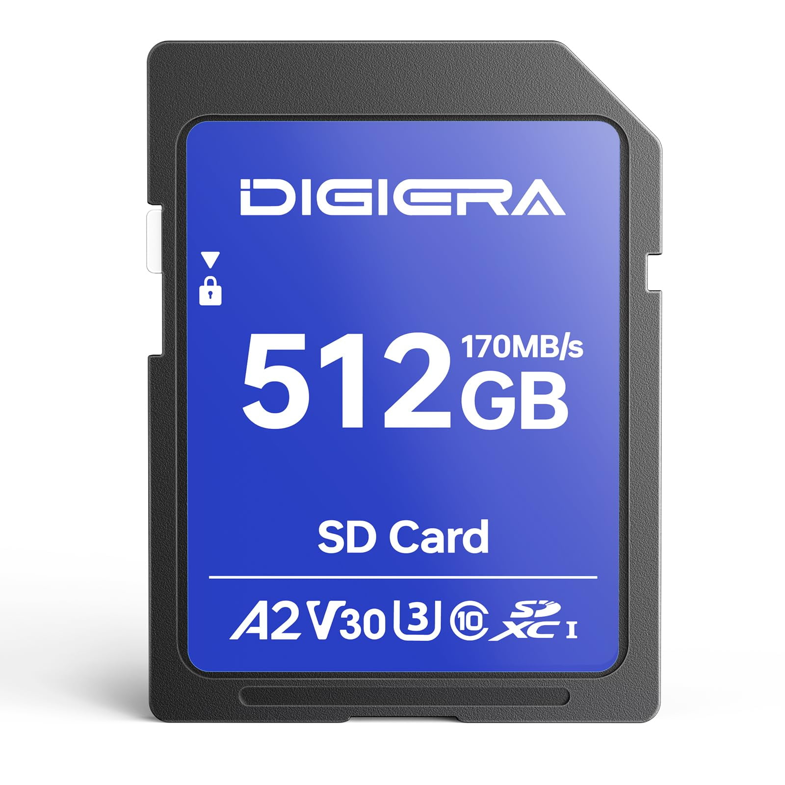 Tarjeta De Memoria Digiera Ls100 512 Gb 170 Mb/s Uhs-i Sdxc