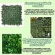 thumbnail image 4 of Jardín Muro vertical artificial P palmeta Plantas 60x40 cm, 4 of 9