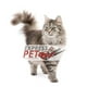 thumbnail image 2 of Alimento para Gato Nutrience - Original Kitten 2,5Kg, 2 of 2