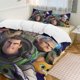 thumbnail image 2 of Lightyear Cartoon Bedding Sets Ultra Soft Skin-Friendly Duvet Cover 3 Piece, Cute Comforter Cover Bed Set for Boys Girls Kids, 2 of 5
