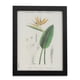 thumbnail image 1 of Marco Imagen Flores Aves del Paraíso 28x23x2cm, 1 of 2