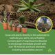 thumbnail image 3 of Sustrato Bioactivo Desértico de 10 L BioBedding – Josh's Frogs, 3 of 9