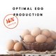 thumbnail image 2 of Chicken Feed Manna Pro Layer se desmorona con un 16% de proteína, 3,6 kg, 2 of 6