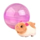 thumbnail image 4 of Juguetes De Pelota Mascotas Electrónicas Juguete Animales De Peluche Juguetes Para Niños Niños Pequeños Regalos Hámster Blanco, 4 of 5