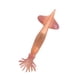 thumbnail image 5 of Modelo De Animal Marino Simulación Sólida Inteligencia Juguetes De Aprendizaje Calamar Rosado, 5 of 5