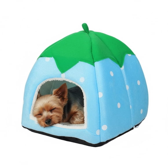 CAMA FRUTILLA TAMAÑO L 40X40 CM CELESTE