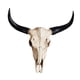 thumbnail image 4 of Bull Skull Escultura Colgante De Pared Artesanía Resina Animales Cabeza Cráneo De Vaca, 4 of 5
