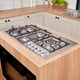 thumbnail image 3 of Encimera Deluxe Elite 95 But, 3 of 8