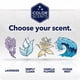 thumbnail image 5 of Bolsas de basura Color Scents Tall Kitchen, 13 galones, 100 bolsas, 5 of 8