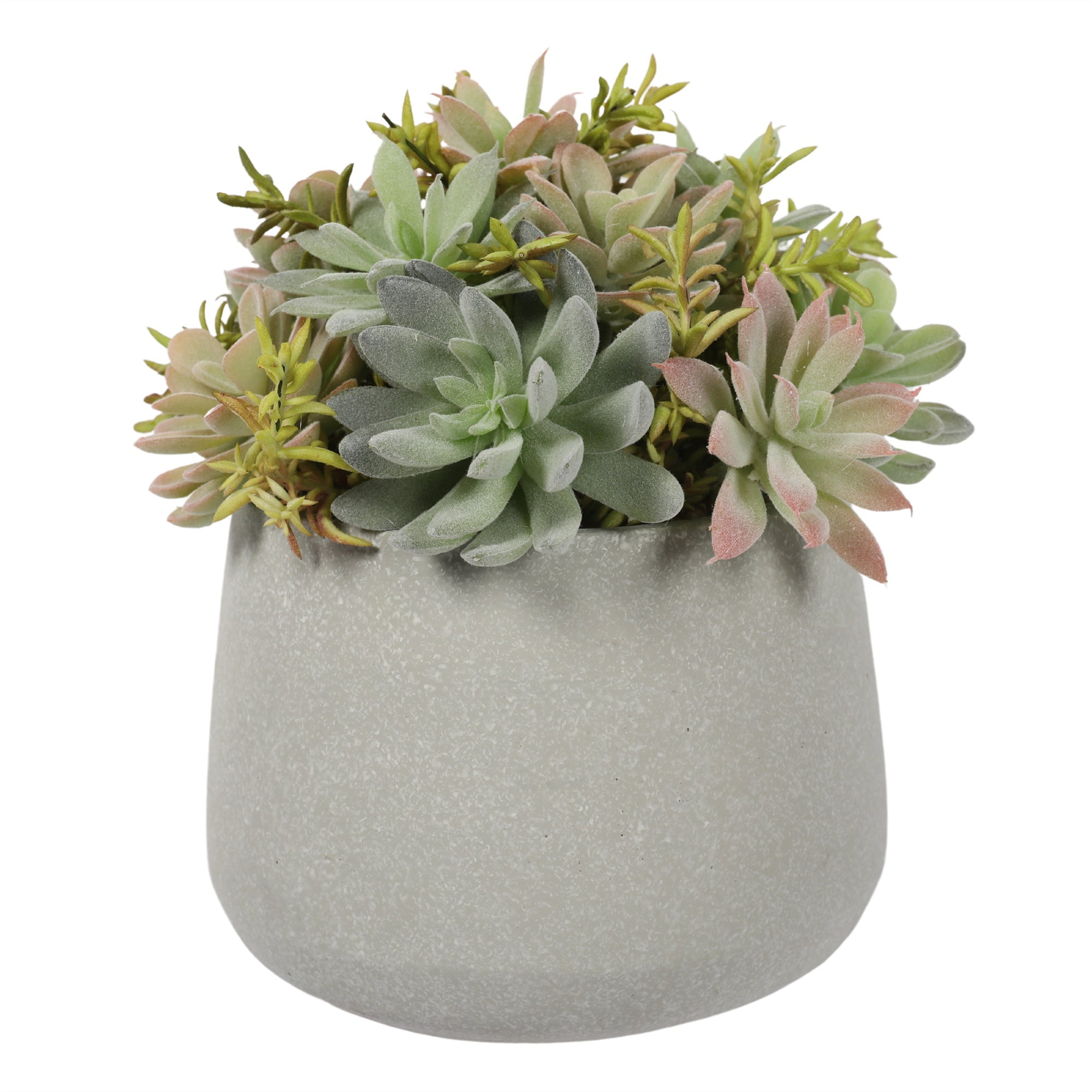 Vadell Home - Suculenta Bonsai De 23 Cm, Con Macetero De Cemento