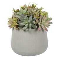 Vadell Home - Suculenta Bonsai De 23 Cm, Con Macetero De Cemento