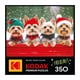 thumbnail image 4 of RoseArt Kodak Premium Rompecabezas Navideño de Yorkie 350 piezas 61 x 46 cm, 4 of 8