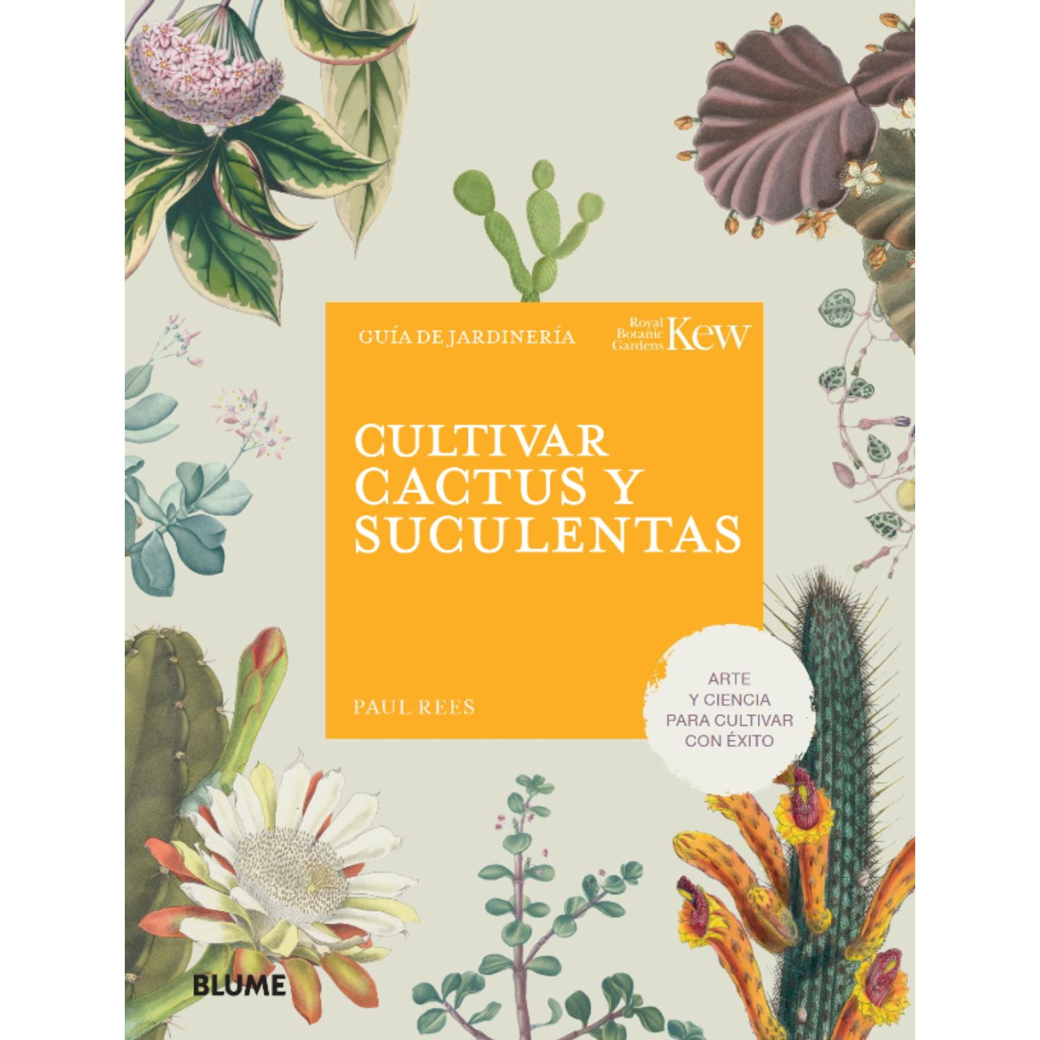 Blume - Cultivar Cactus Y Suculentas