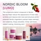 thumbnail image 5 of Crema Hidratante Nocturna Nordic Bloom [lumo] Antiarrugas, 5 of 8
