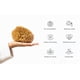 thumbnail image 5 of Sea Sponge Soft Natural X Large Para Bañarse, 5 of 7