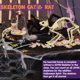 thumbnail image 2 of Decoración de Halloween con forma de esqueleto de gato y rata MEKBOK, 2 of 7