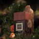 thumbnail image 3 of Perfume Anfar The Wood Series Smoky Wood Intense 100 ml para hombre, 3 of 7