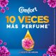 thumbnail image 4 of Suavizante Líquido Concentrado Fiber Protect Botella, 1 L, 4 of 6