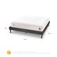 thumbnail image 3 of Cama Europea Curve Cocopedic 2 Plaza Base Normal, 3 of 14