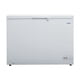 thumbnail image 1 of Freezer Horizontal Dual 230 lts Tapa Dura con Llave, 1 of 6