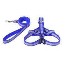 Genérico - Arnés Y Correa Reflectantes Para Mascotas Perro Azul Talla S