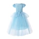 thumbnail image 3 of Vestido de princesa Costume JerrisApparel para niñas, 4T, azul con acceso., 3 of 8