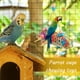 thumbnail image 2 of Juguetes para triturar pájaros AFUOWER para periquitos cacatúas Mynah, 2 of 3