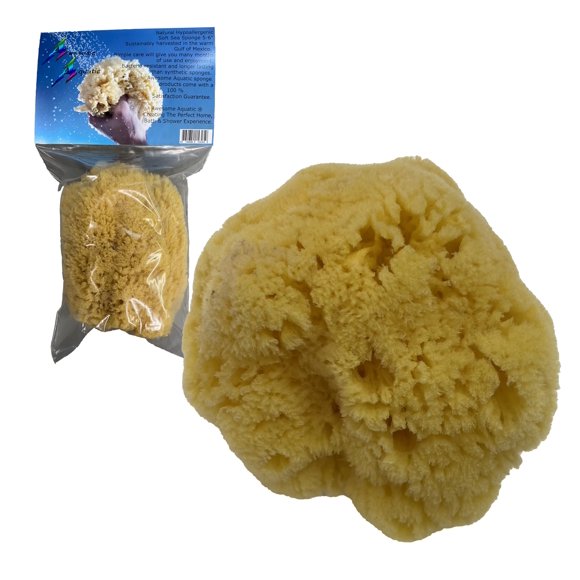 Esponja marina impresionante hierba amarilla natural acuática de 13 a 15 cm