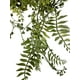 thumbnail image 3 of Ramo Cypress Verde, 3 of 3