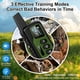 thumbnail image 2 of Collar de Adiestramiento MrSpark HQ01 4500 ft IP68, 2 of 3