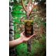 thumbnail image 3 of Trozos de Hongos Chaga Siberianos, Tesoro de Siberia, 100 g Cosecha Silvestre, 3 of 3
