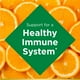thumbnail image 3 of Nature's Bounty Vitamina C 100 comprimidos de Nature's Bount, 3 of 3