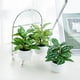 thumbnail image 2 of 5.11 pulgadas 3 piezas pequeñas plantas falsas artificiales planta en maceta interior faux planta tropical para la oficina del hogar mesa estante escritorio Décor, 2 of 3