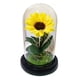 thumbnail image 1 of Rosa Eterna Girasol Cupula Vidrio Lampara Led Base Madera, 1 of 6