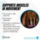 thumbnail image 2 of Kinesio Tape tiras precortadas para soporte de espalda, 2 of 6