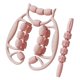 thumbnail image 3 of 2 Rodillos Masajeadores Musculares De Mano Para Brazos, Pantorrillas Y Cuello, Color Rosa, 3 of 5
