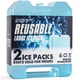 thumbnail image 1 of Paquetes de hielo reutilizables Everlasting Ice RX Cooler (paquete de 2), 1 of 6