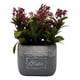 thumbnail image 1 of Planta Artificial Macetero Cerámica Vintage Plants Cubo violeta, 1 of 3