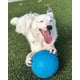 thumbnail image 5 of Pelota de fútbol Dog Toy Jolly Pets, grande, 20 cm de diámetro, azul, 5 of 6