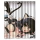 thumbnail image 1 of Cortina de ducha para chica sexy, juego de cortinas de baño con ganchos, tamaño 60 x 72 pulgadas, 1 of 3