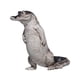 thumbnail image 5 of Figura De Cocodrilo, Adorno Central Para Ceremonia De Escritorio, 5 of 6