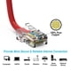 thumbnail image 4 of Cable Ethernet Cat6 FireFold 6,1 m 550 MHz UTP rojo, 4 of 4