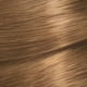 thumbnail image 2 of Coloración Nutrisse Cabello 71 Vainilla, 2 of 12