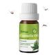 thumbnail image 1 of 10ml Prevent Mosquito Bites Anti-itch Home Skin Care Mosquito Repellent Citronella Essential Oil Body Care For Beauty Health, 1 of 3