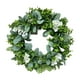 thumbnail image 1 of Guirnalda De 42 Cm, Guirnalda Colgante Artificial, Planta Verde, Boda, Decoración Del Hogar, Blanco, 1 of 5