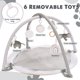 thumbnail image 5 of Baby Gym & Ball Pit Crisschirs 5 en 1 XL con tarjetas Milestone, 5 of 6