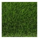 thumbnail image 3 of Pasto Sintético 25mm Valor Rollo 2 x 10 Metros, 3 of 3