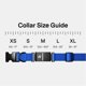 thumbnail image 2 of Collar Rastreador para Perros Fi Serie 3+ GPS Impermeable Azul, 2 of 5